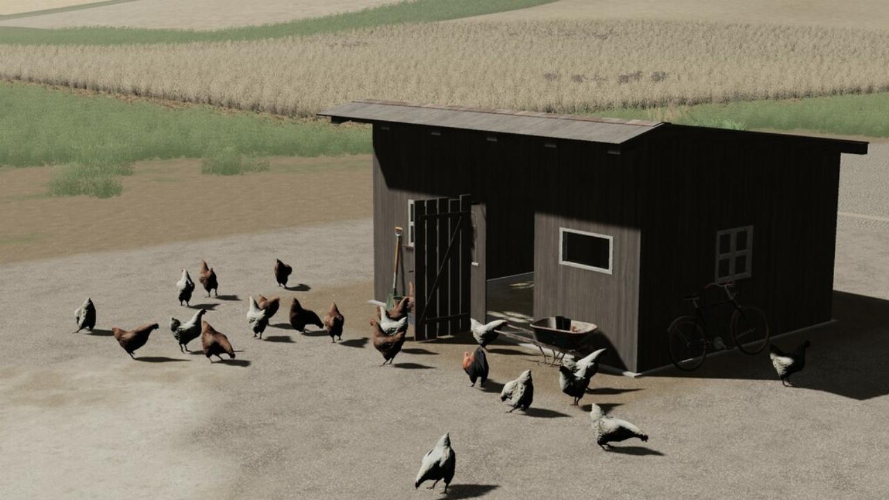 Chicken Coop