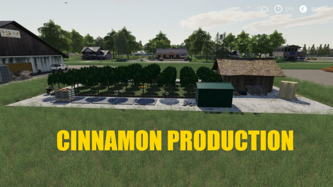 Cinnamon farm