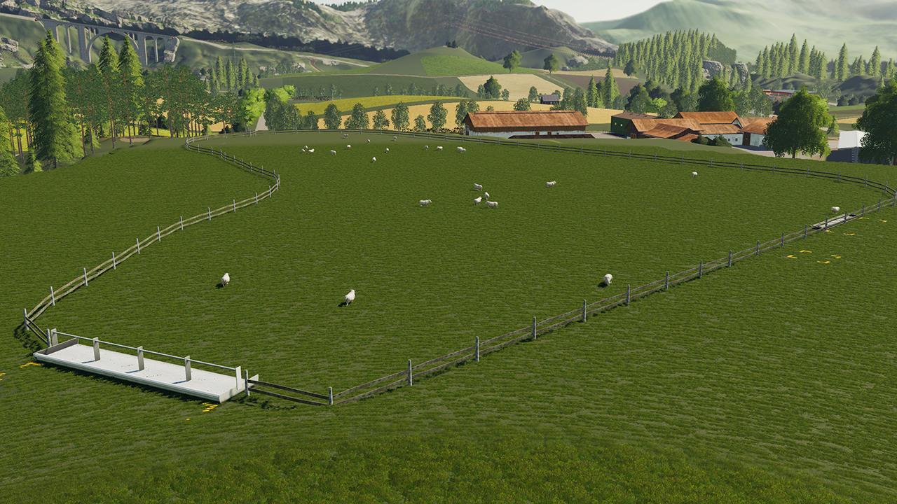 Sheep enclosure