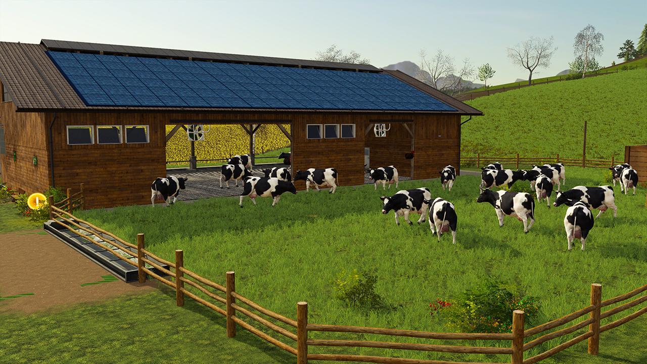2000 cows farm