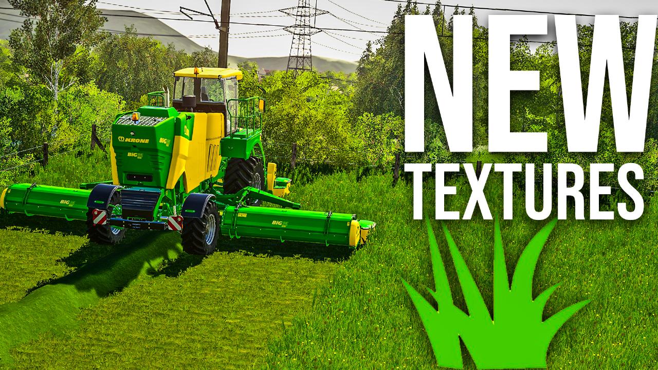 Gras Textur