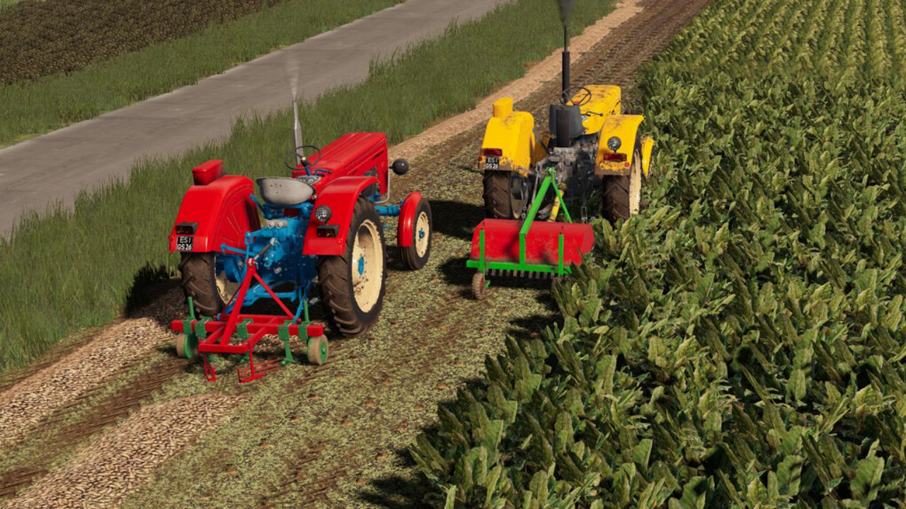 Lizard Beet Machines