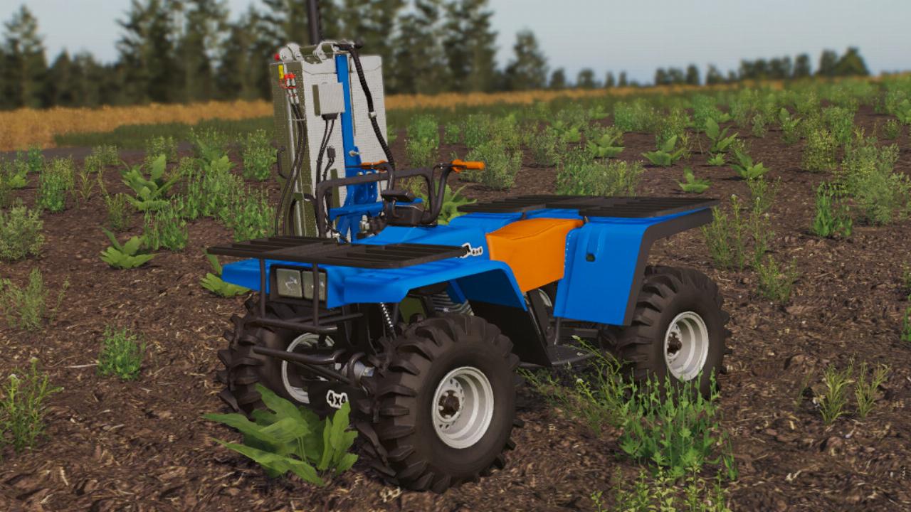 Lizard Quad Bear 350 4x4