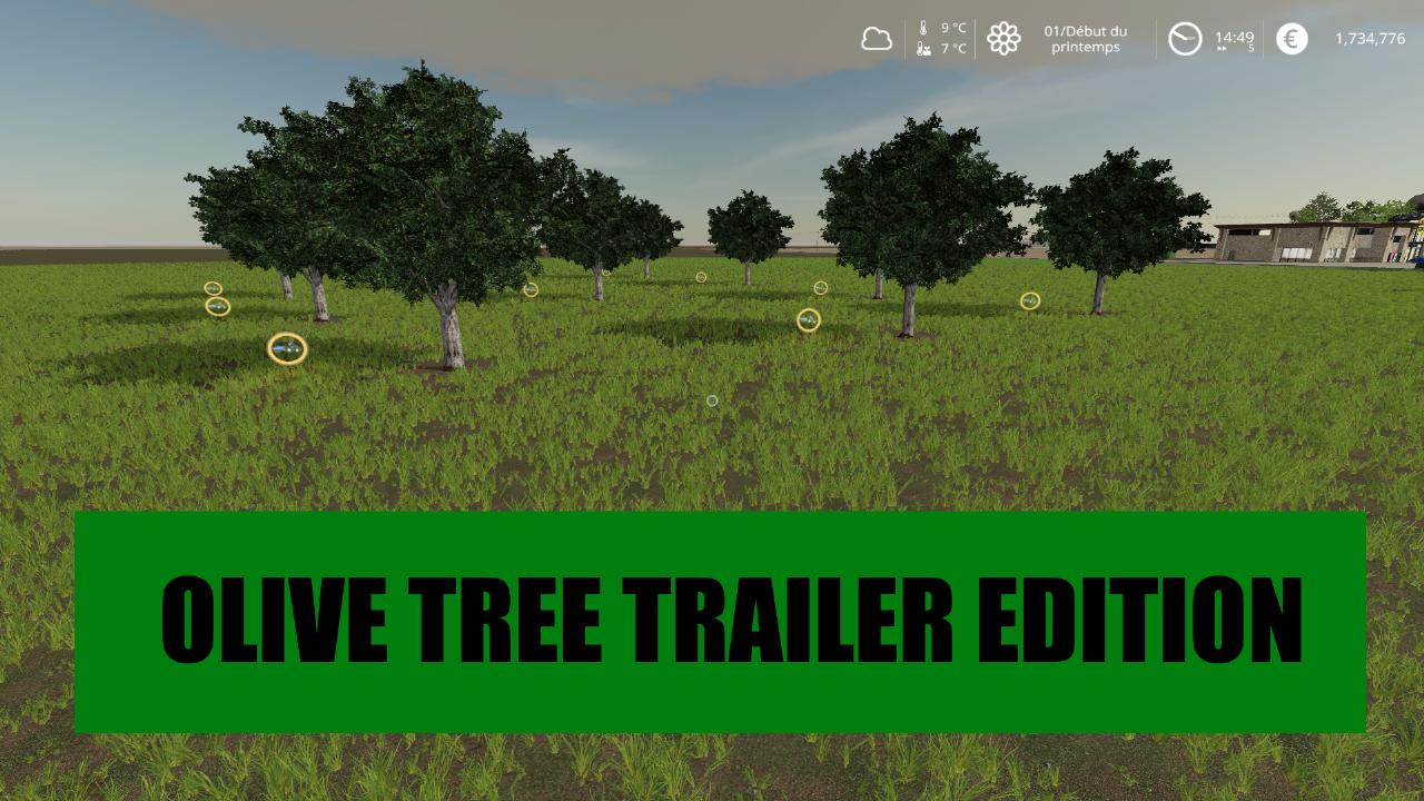 OLIVE TREE TRAILER EDITION
