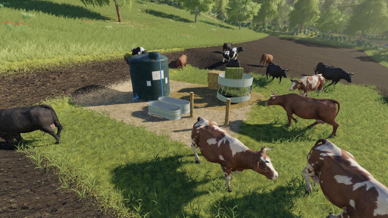Open Cow Pasture