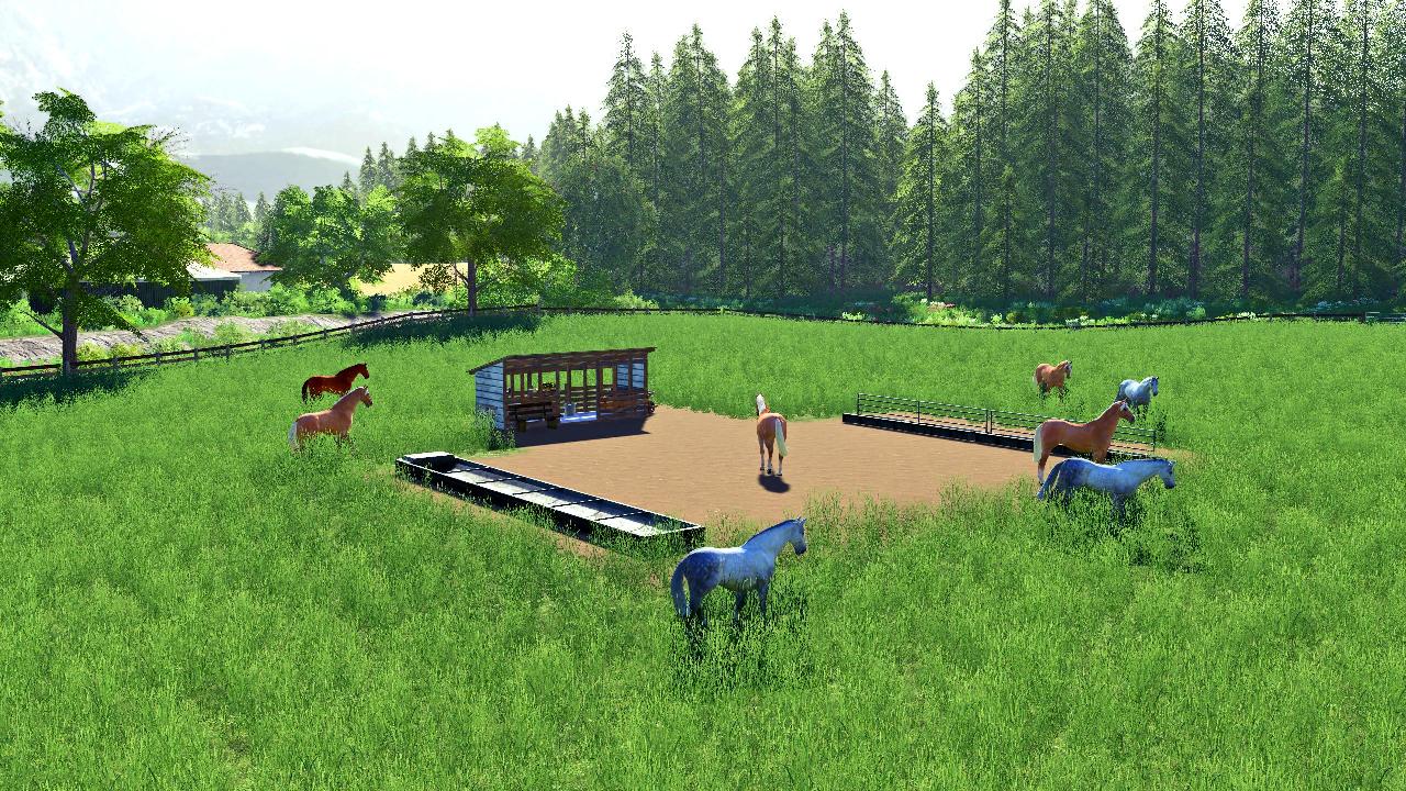 Open horse pasture