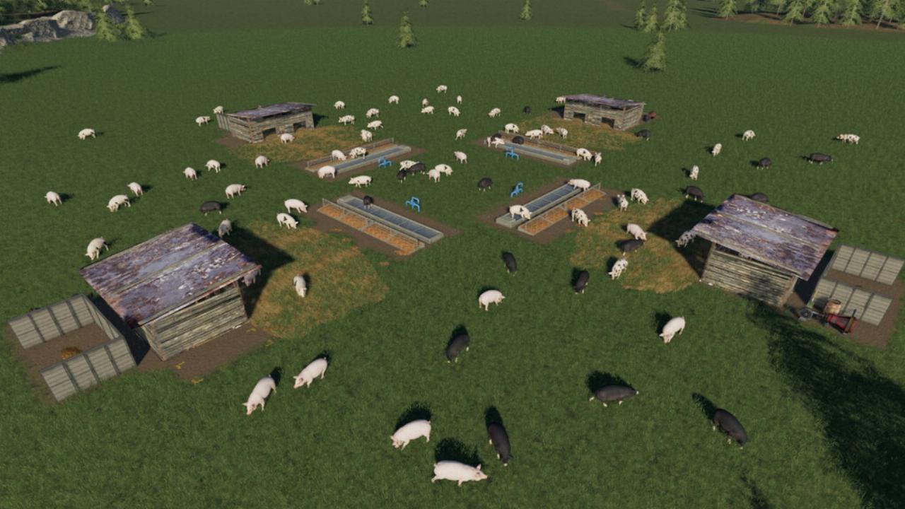 Open Pig Pasture