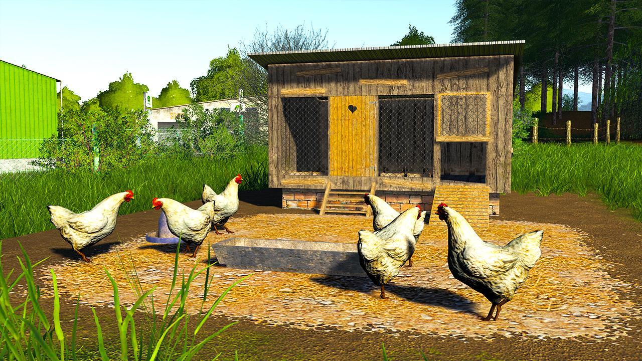 Small chicken coop