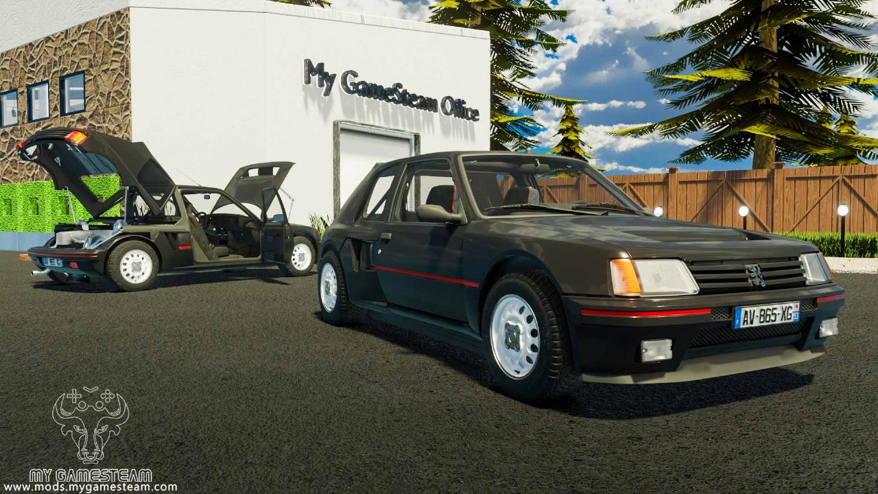 Peugeot 205 Turbo 1984