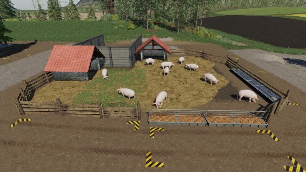 Pig Enclosure Nature