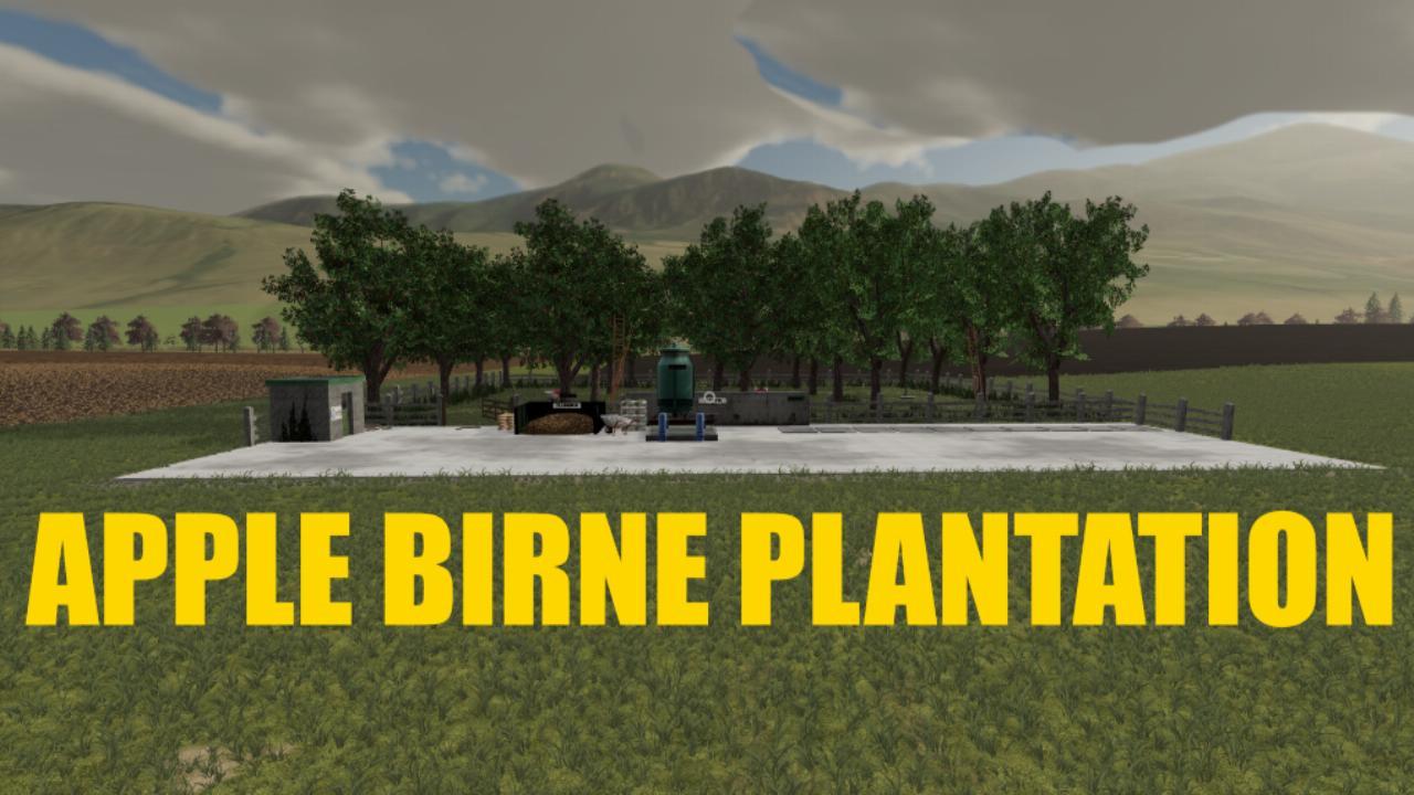 Plantation de pommes et poires