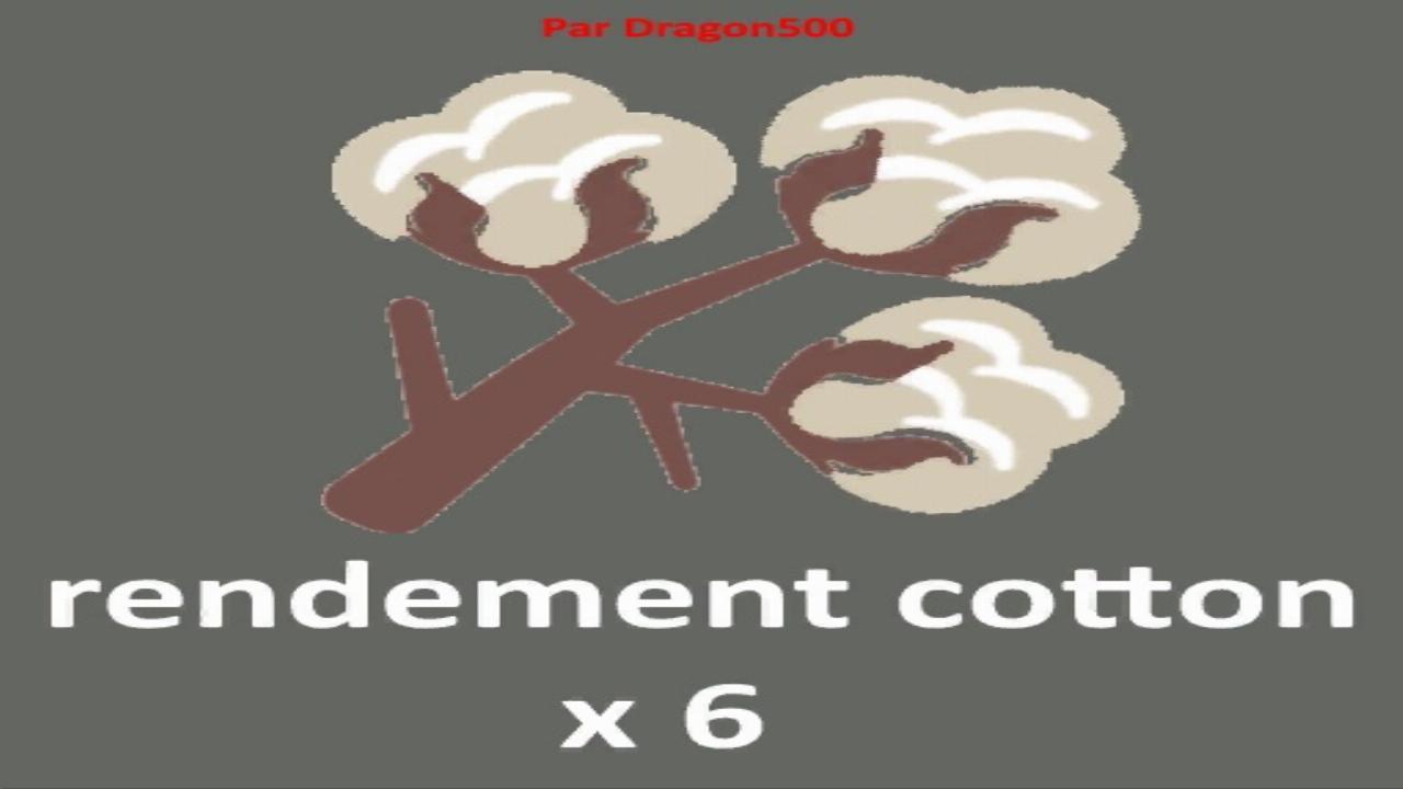 RENDEMENT COTTON