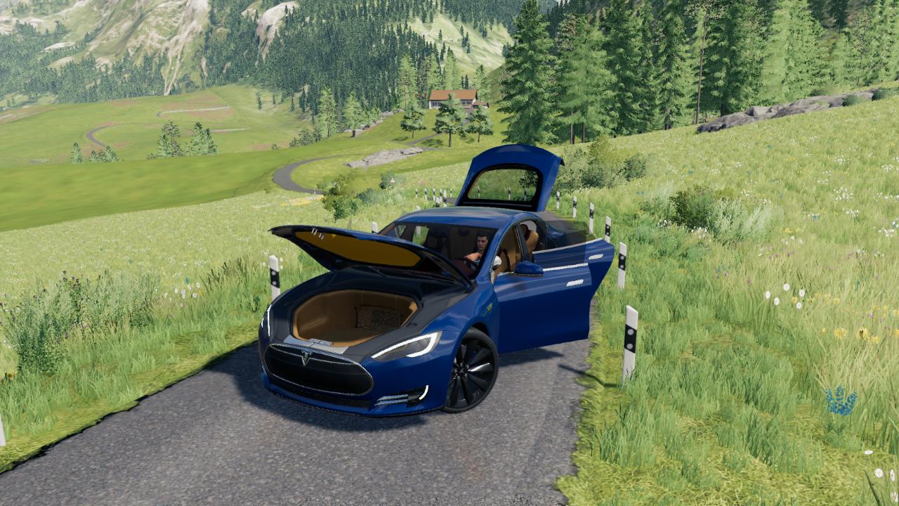 TESLA MODEL S NO DLC ALPINE