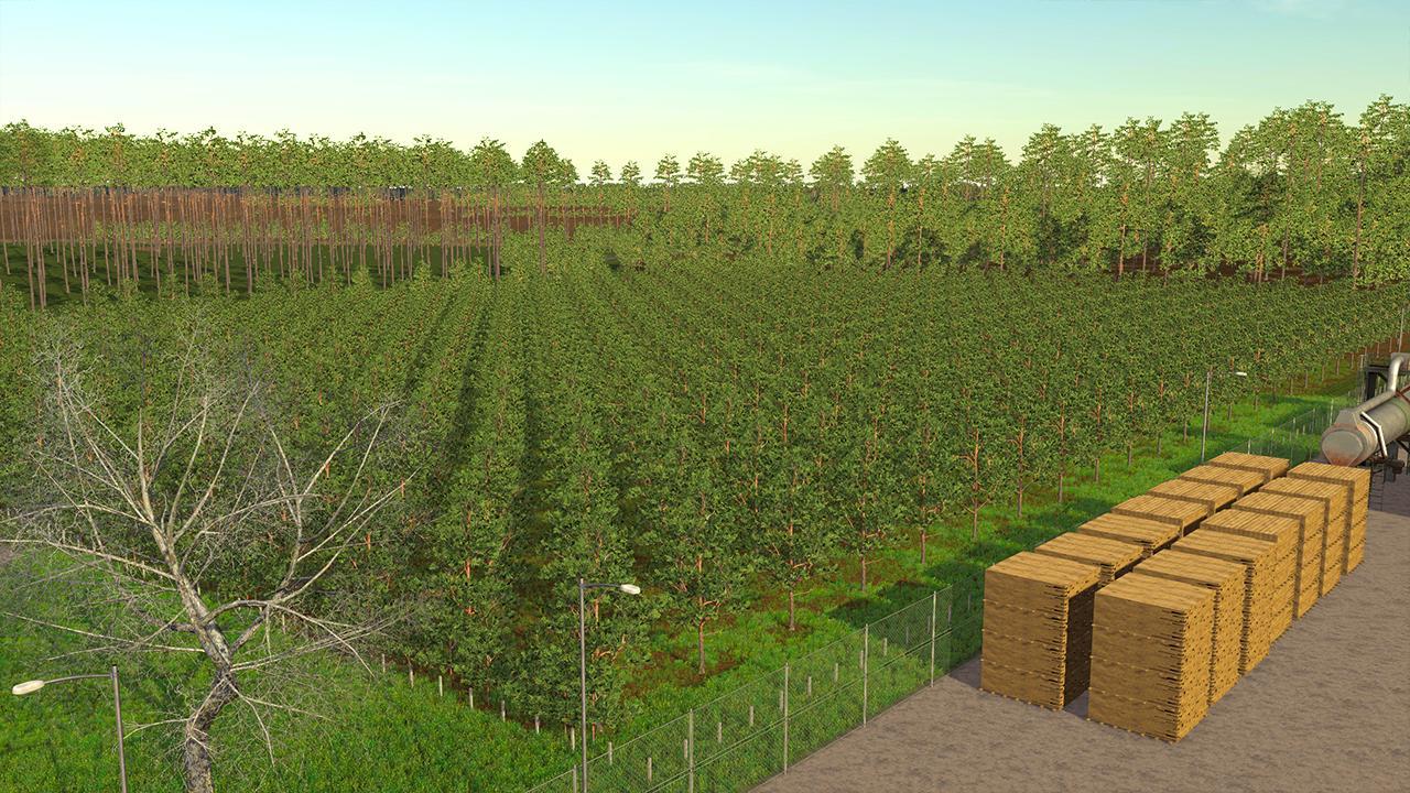 The Plantation
