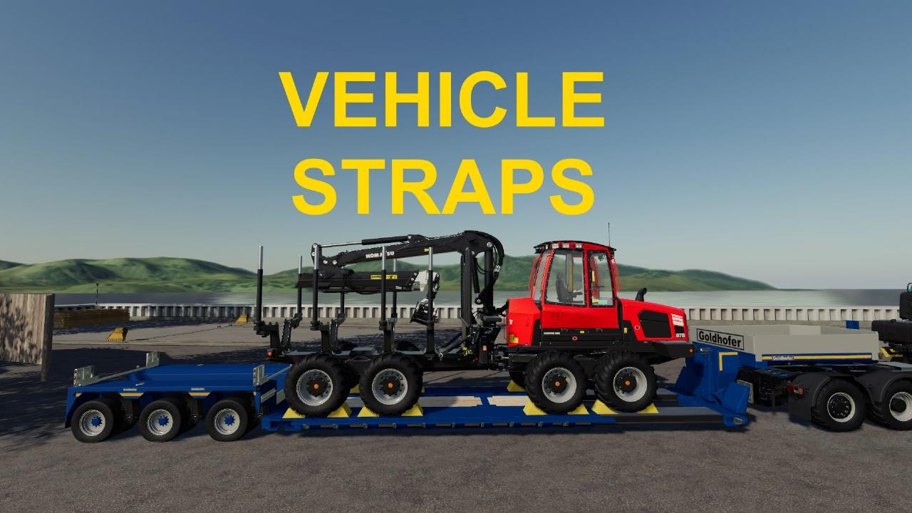 Vehicle Straps