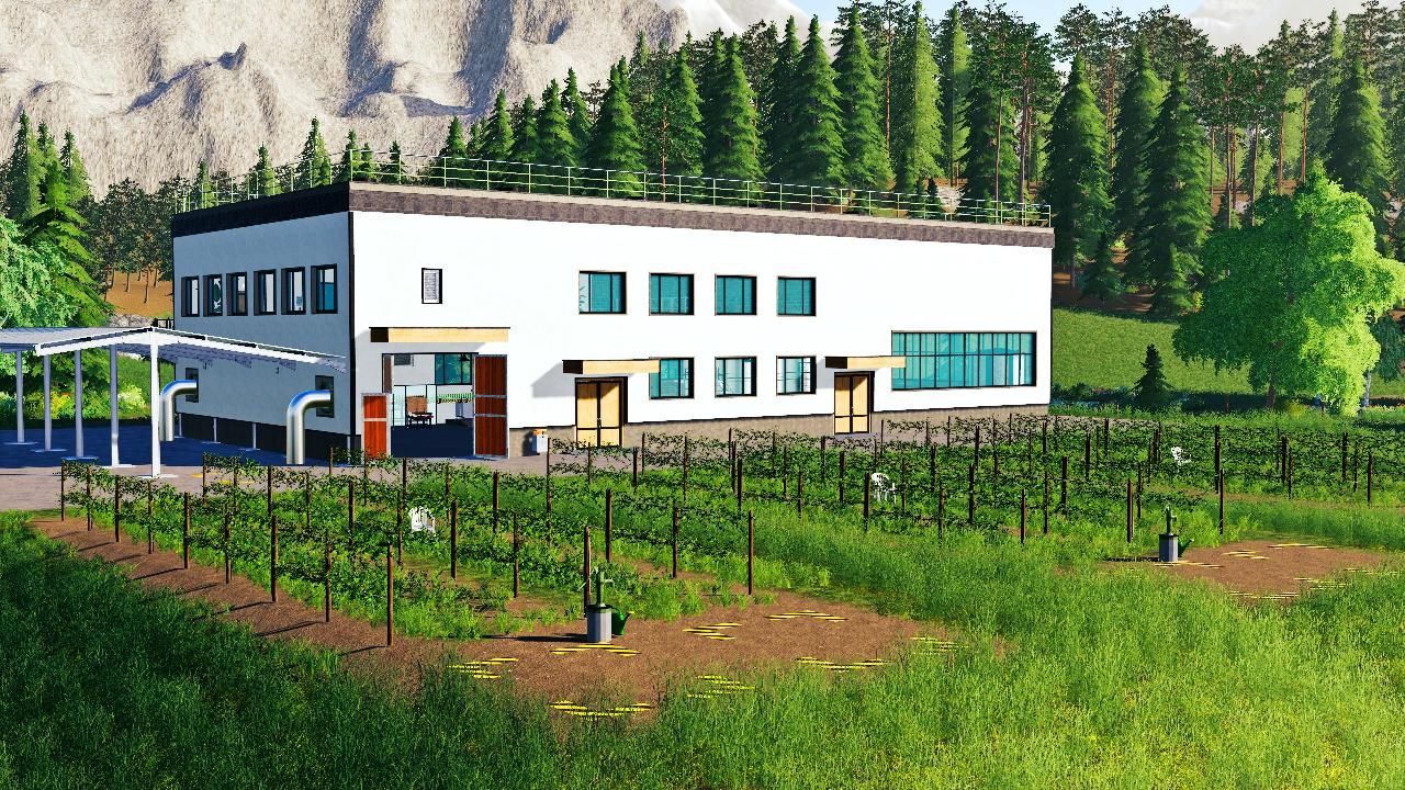 Vineyards PACK