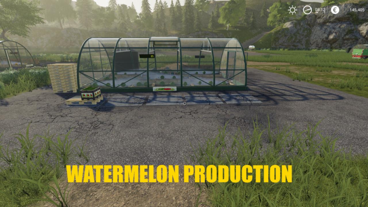 Wassermelonen-Gewächshaus