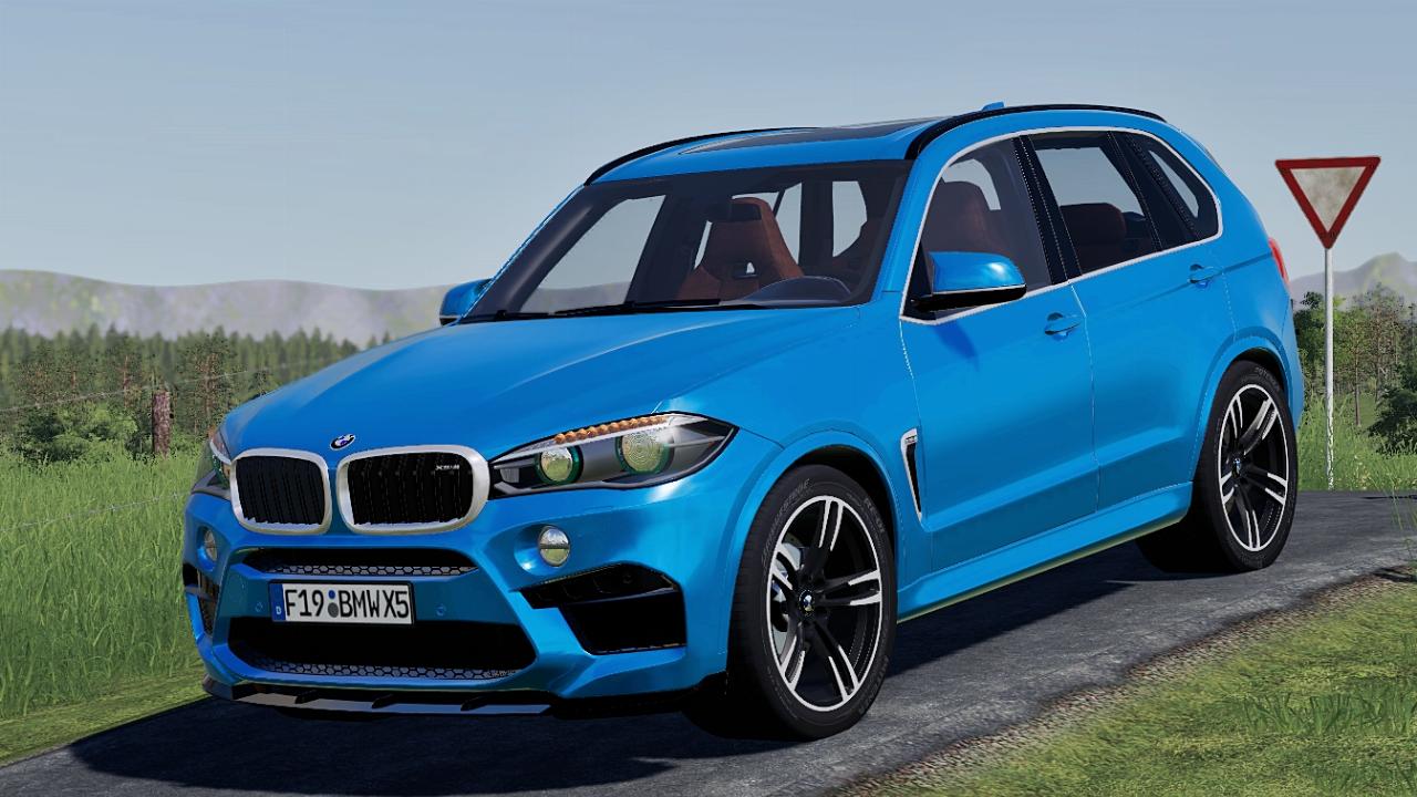 BMW X5M