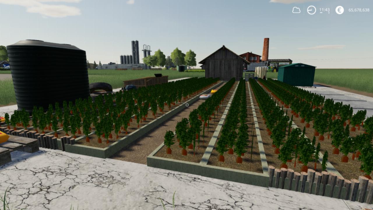 Karottenfarm