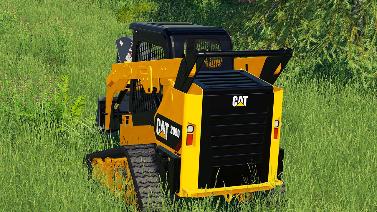 CAT 289D