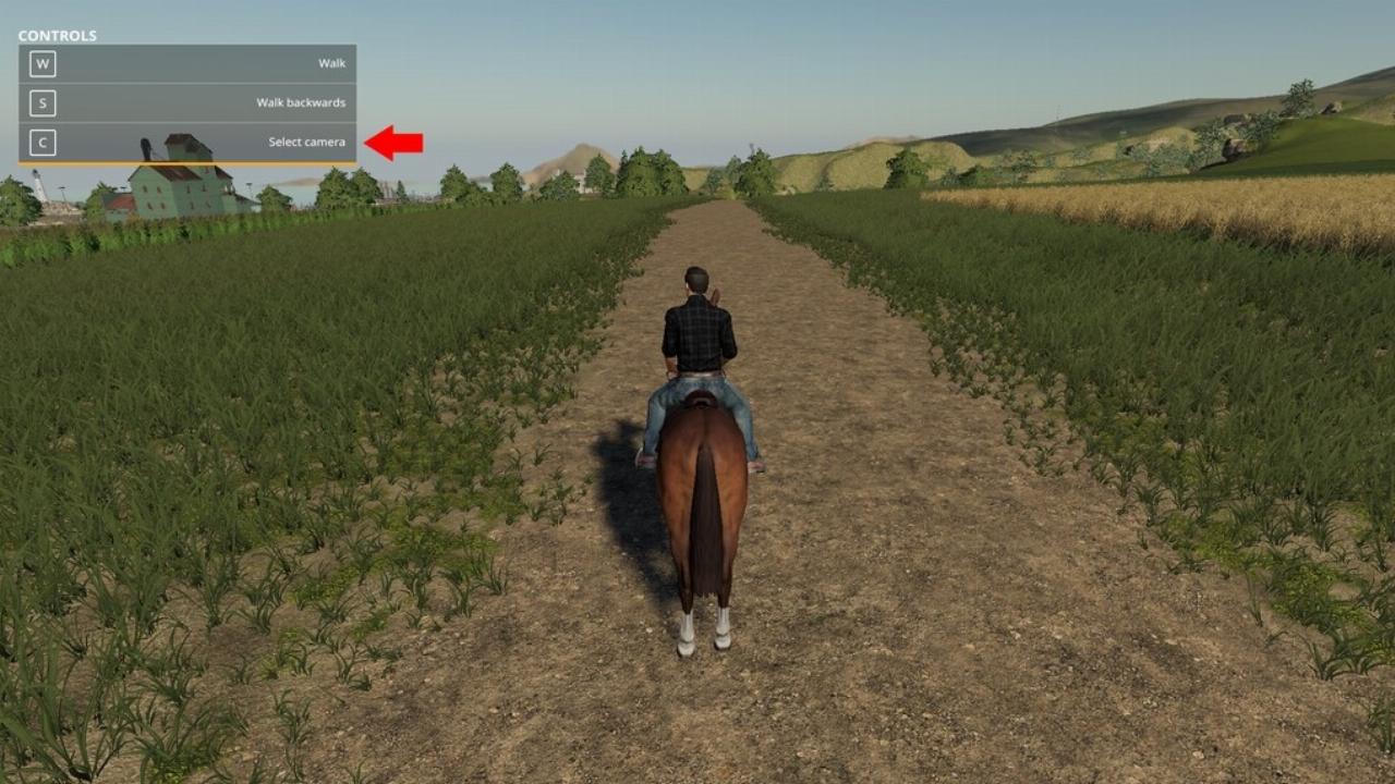 First Person Horse Riding Camera