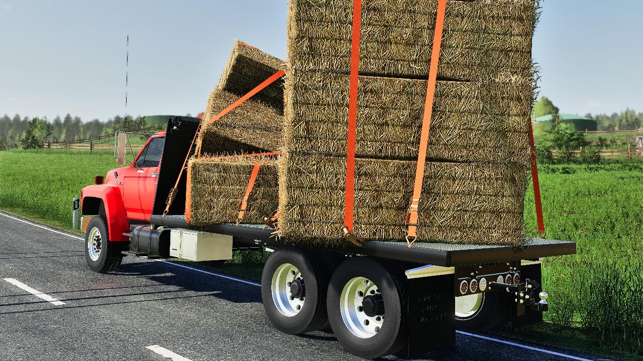 Ford F800 Flatbed / Grain