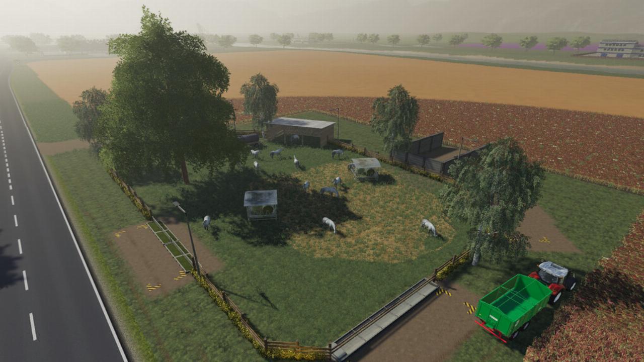 Glückliche große Pferdefarm