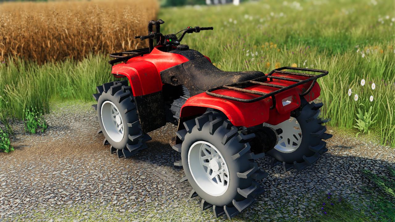 Honda 300 2001