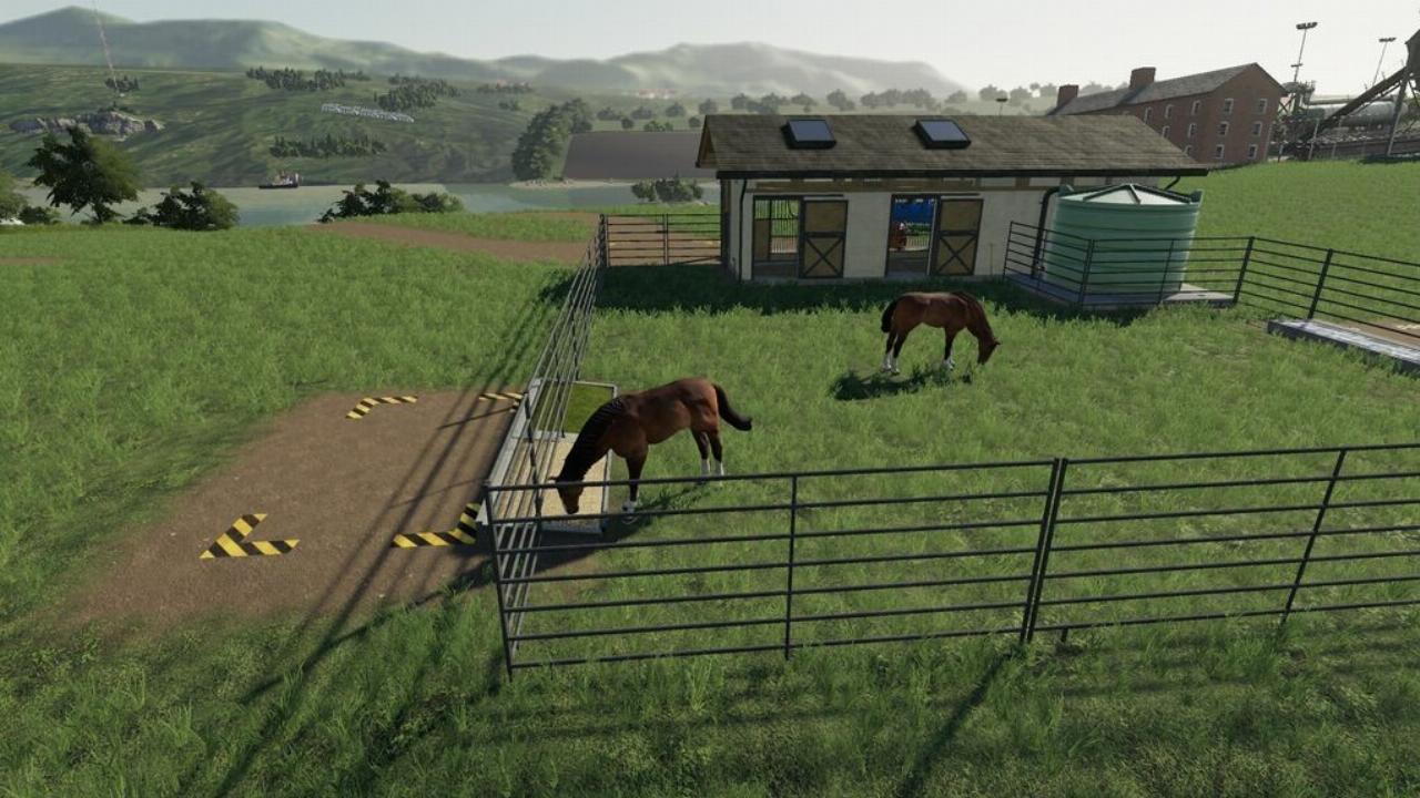 Horse Breeding