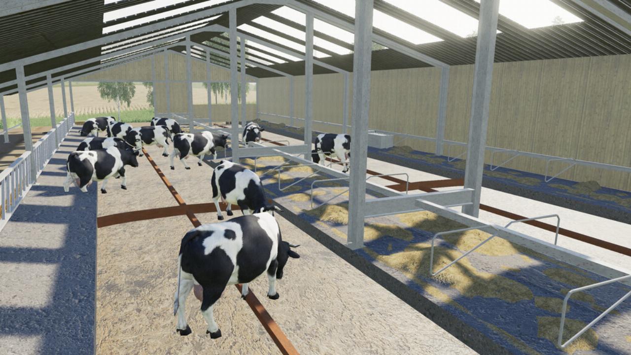 Indoor British Cow Barn