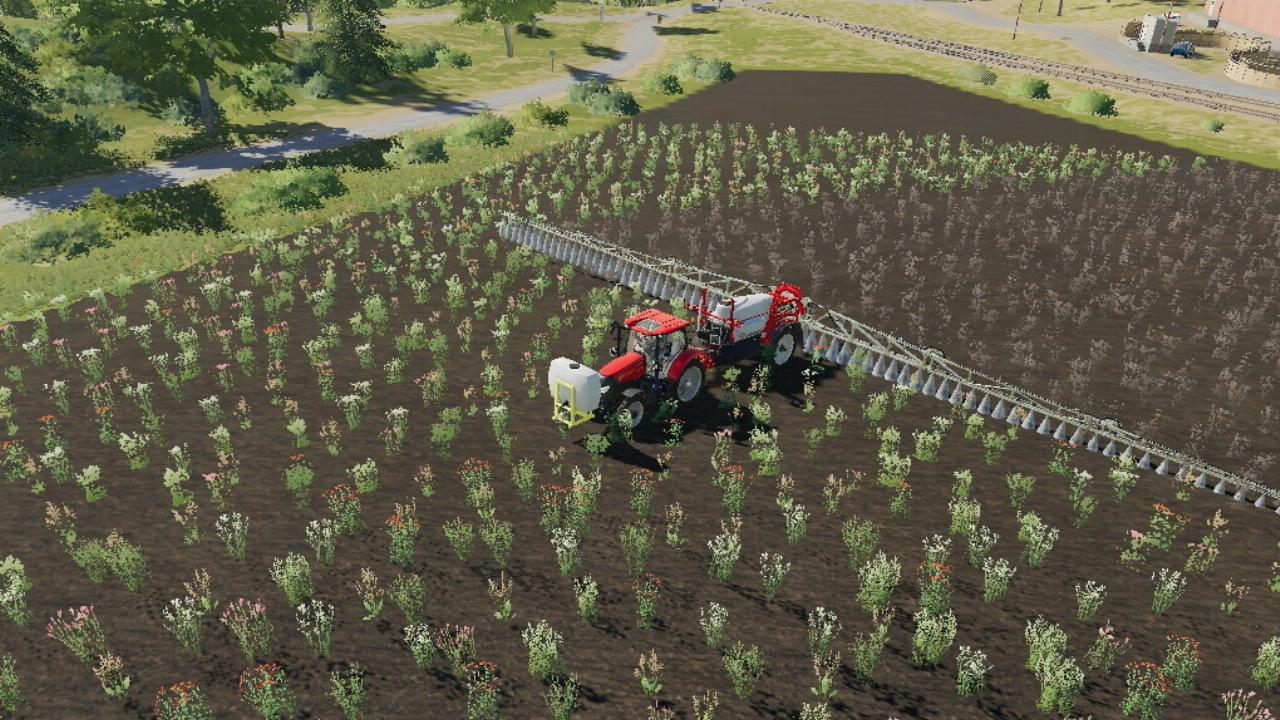 Lizard 200 Sprayer