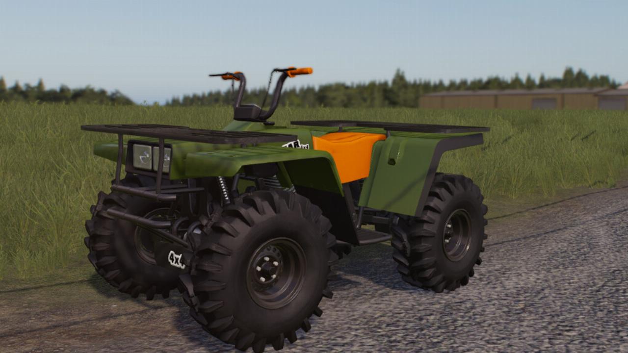 Lizard Quad Bear 350 4x4
