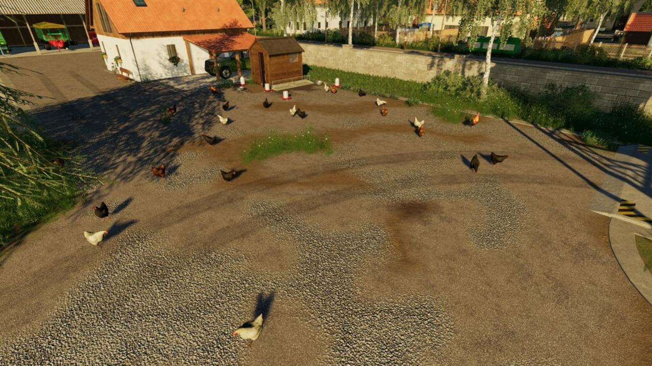 Open Chicken Coop