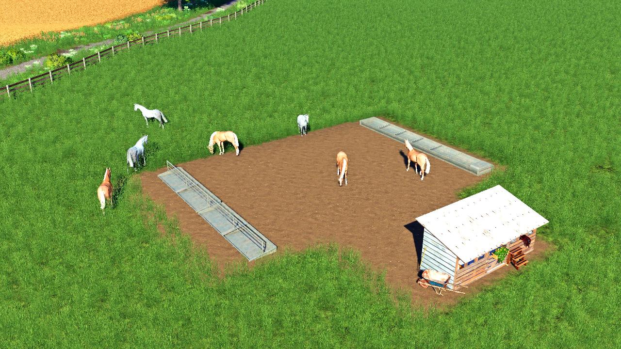 Open horse pasture