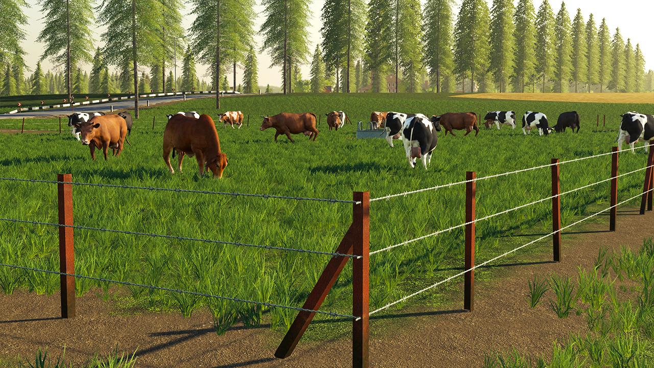 Pasture