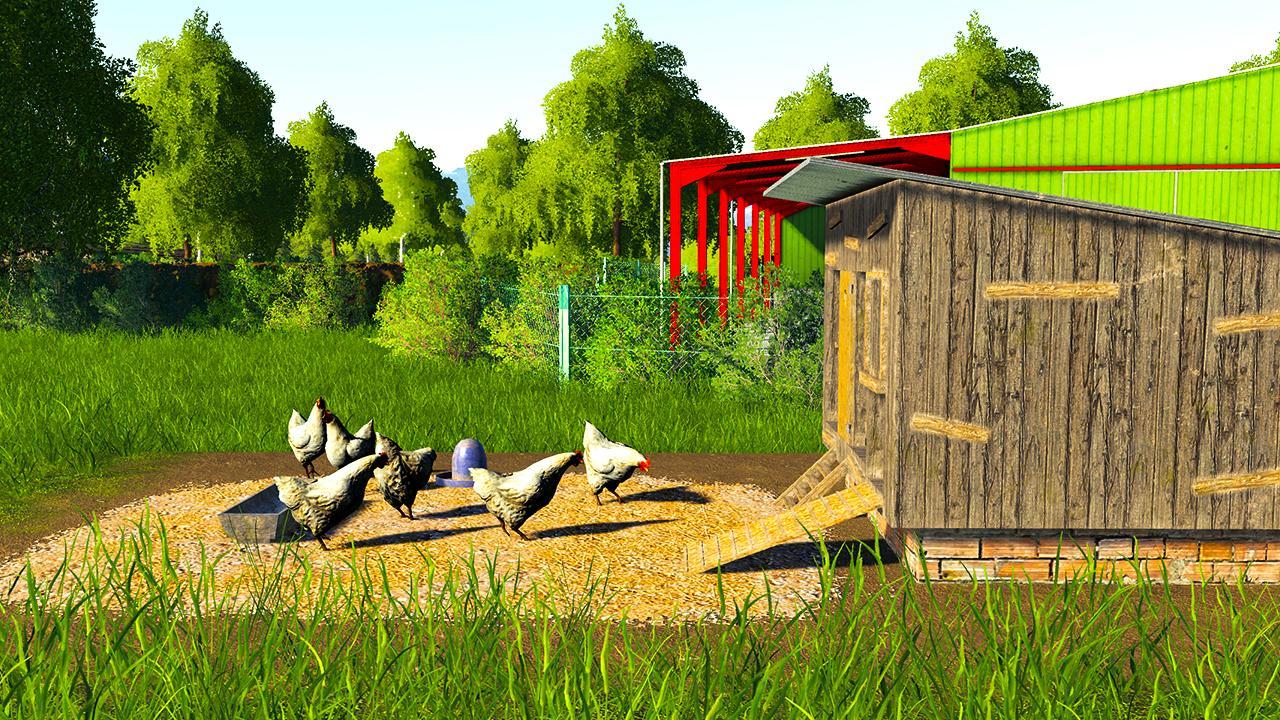 Small chicken coop