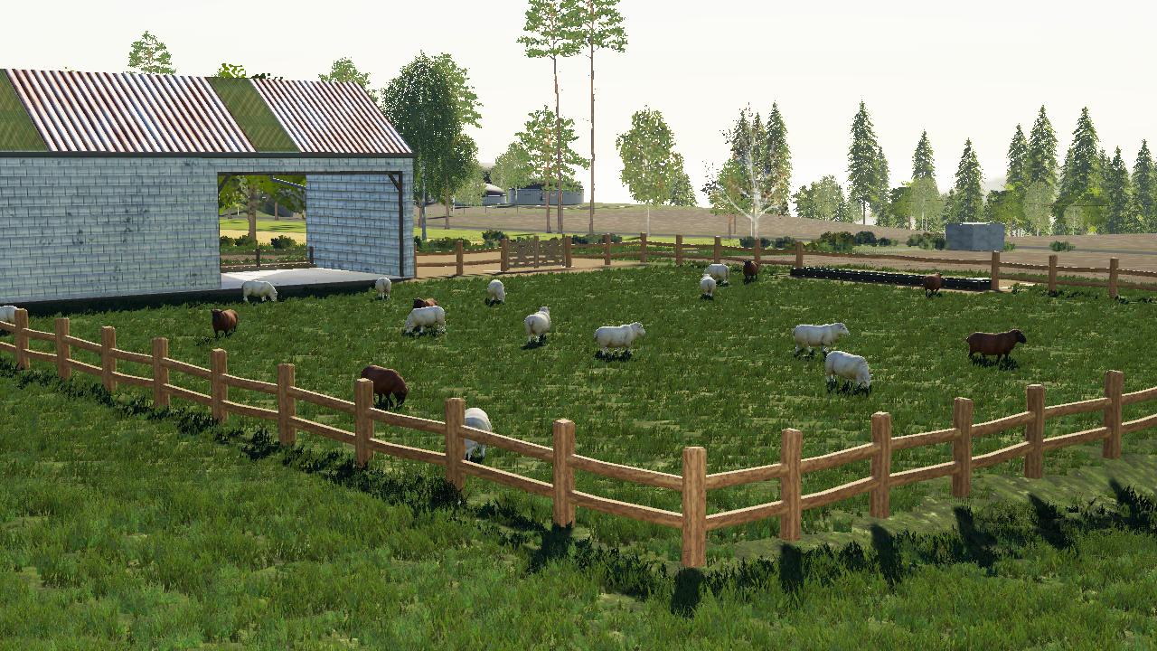 Sheep enclosure