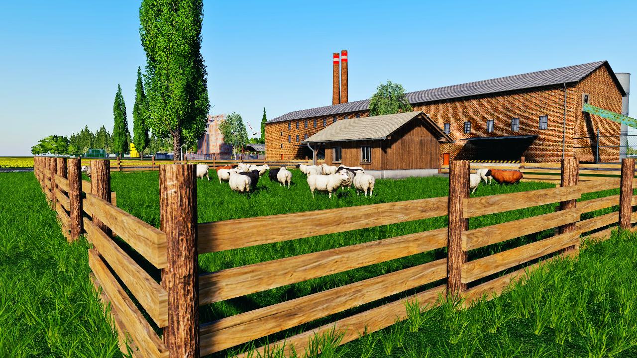 Sheep pasture with shelters