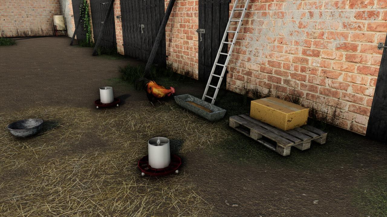 Small Polish Chicken Coop