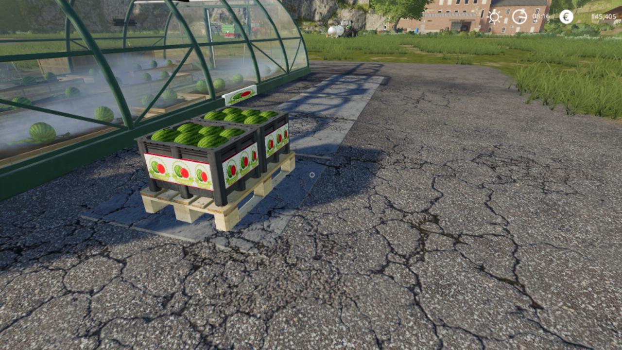 Watermelon greenhouse