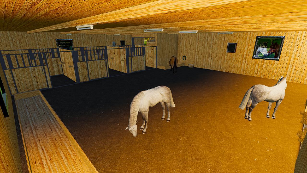Horse paddock with box