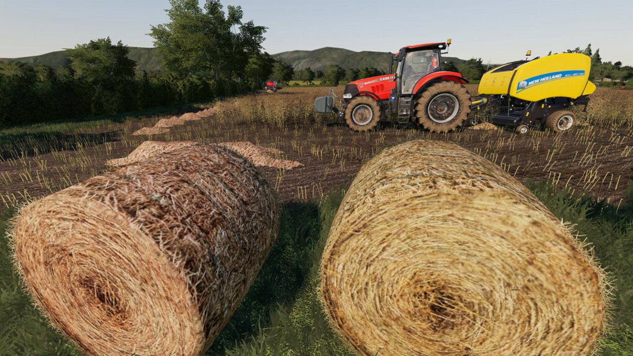 Dalton Valley Farm