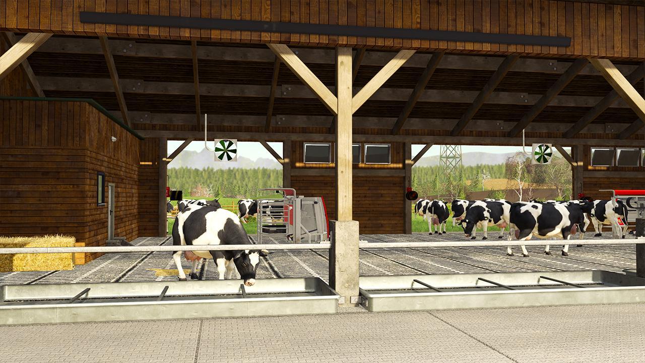 2000 cows farm