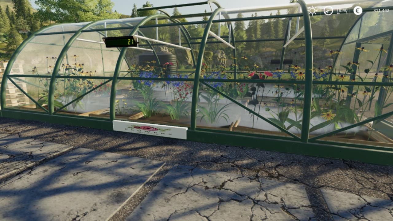Blumen-Gewächshaus
