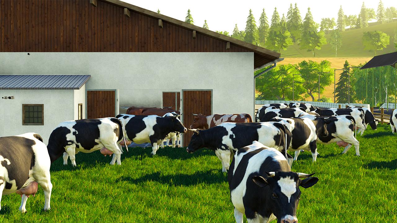 German Cow barn