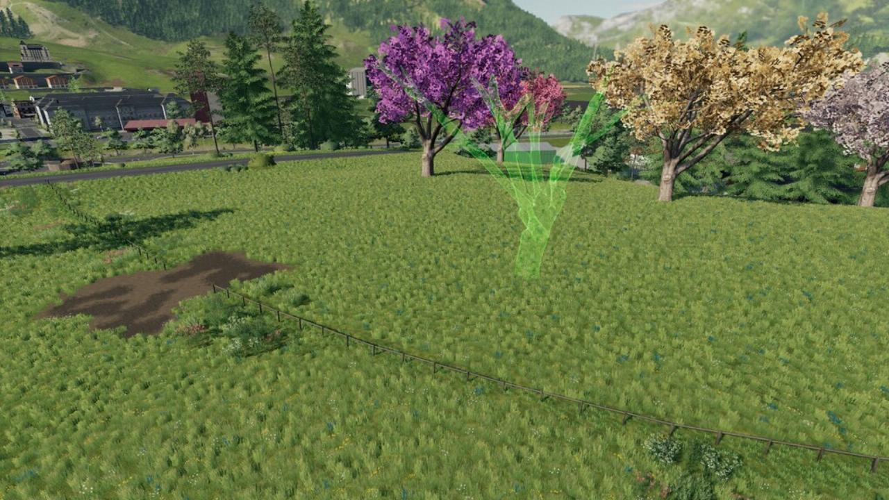 Lapacho Trees