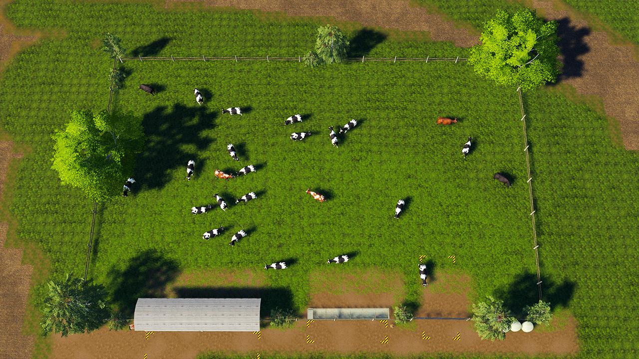 Large pasture