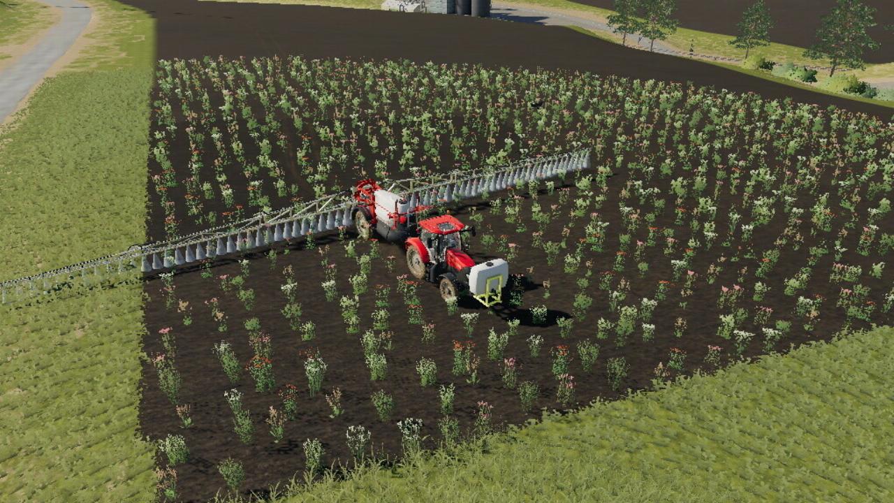 Lizard 200 Sprayer