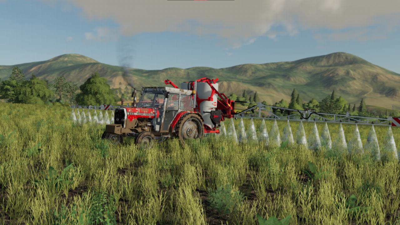 Massey Ferguson 265