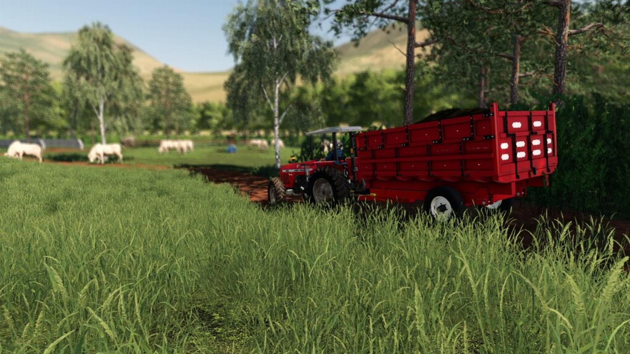 Massey Ferguson 5.000